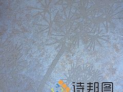 中國新型環保建材--買優惠的綠色建材,就來詩邦圖-詩邦圖(中國)品牌運營總部提供中國新型環保建材--買優惠的綠色建材,就來詩邦圖的相關介紹、產品、服務、圖片、價格肌理漆、肌理壁膜、福建肌理漆、肌理壁膜漆代理、硅藻泥廠家、肌理液體壁紙、
